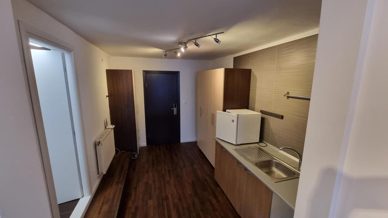 Vila Parc Cluj-Napoca Exterior foto